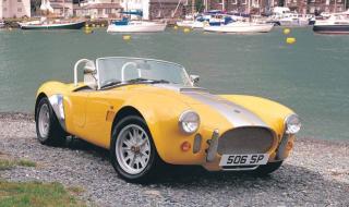 谢尔比眼镜蛇 谢尔比眼镜蛇